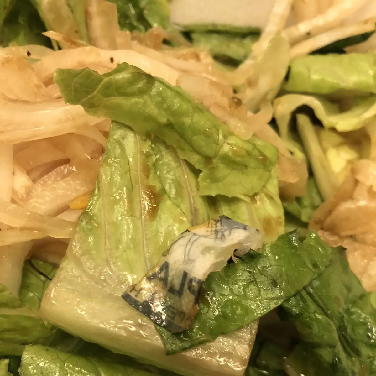 Plain Salad Ensalada