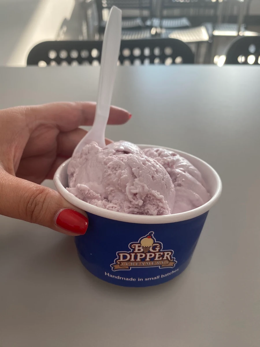 Raspberry Chocolate Chip