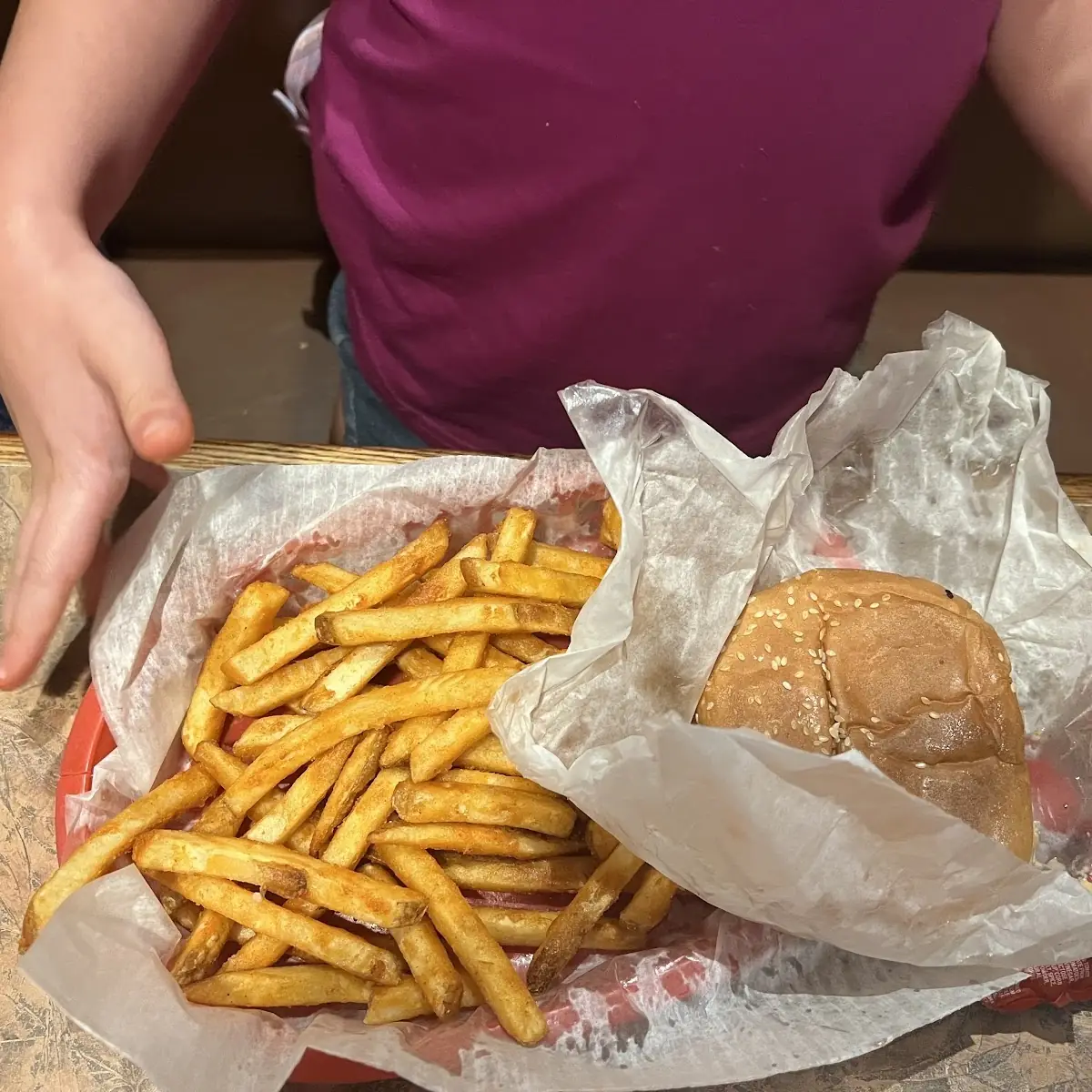 Cheese Burger with Fries