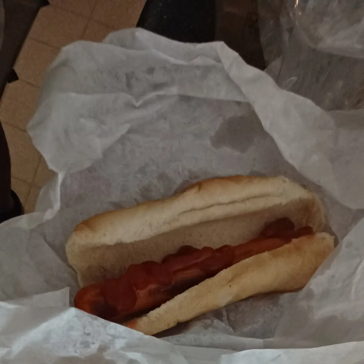 Plain Hot Dog