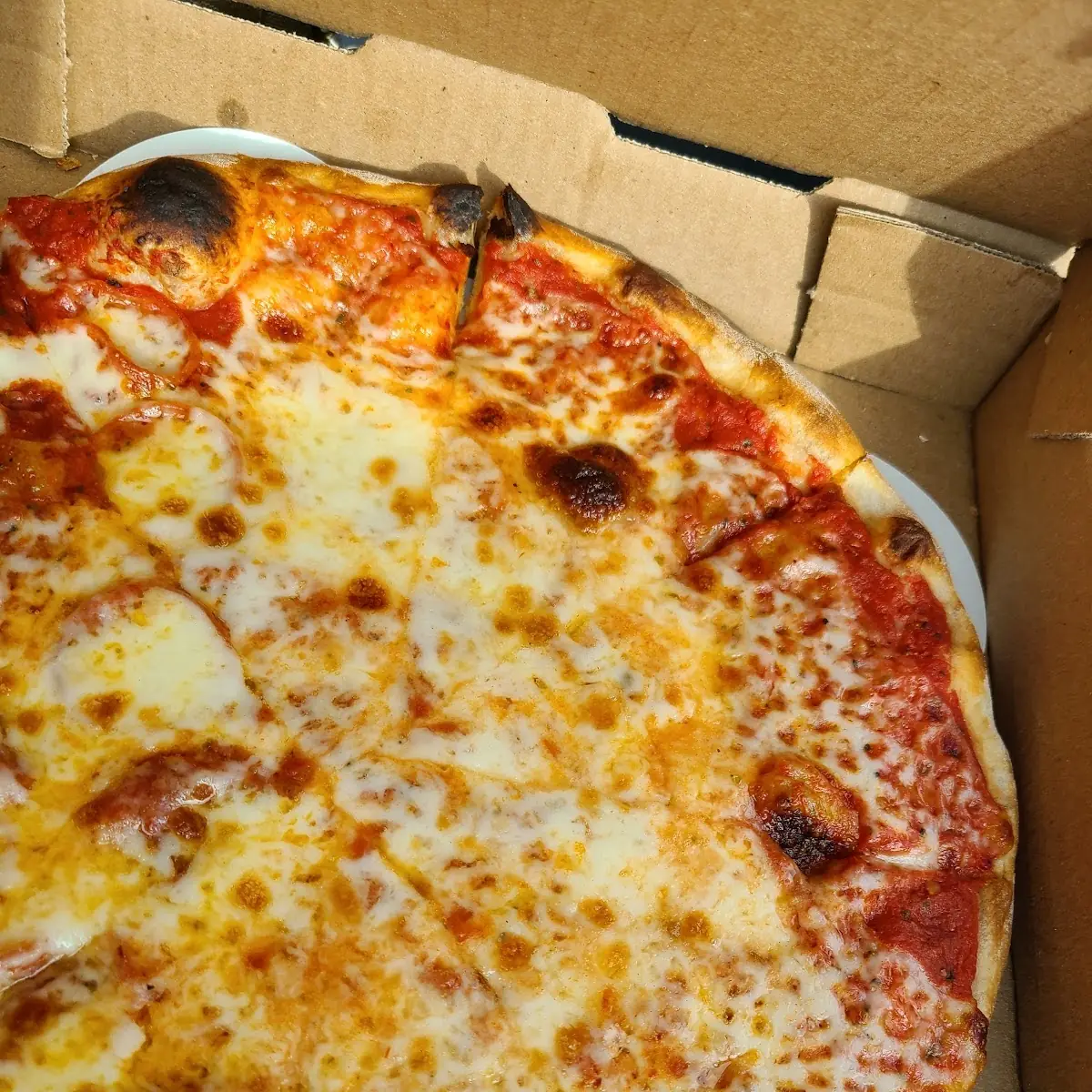 16 Large Cheese Pizza