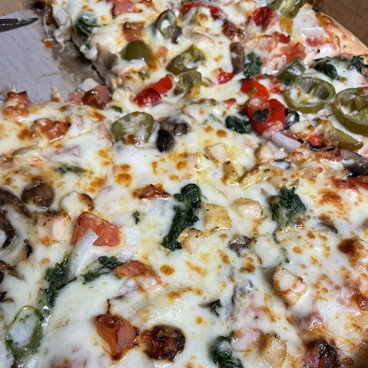 Veggie Pizza