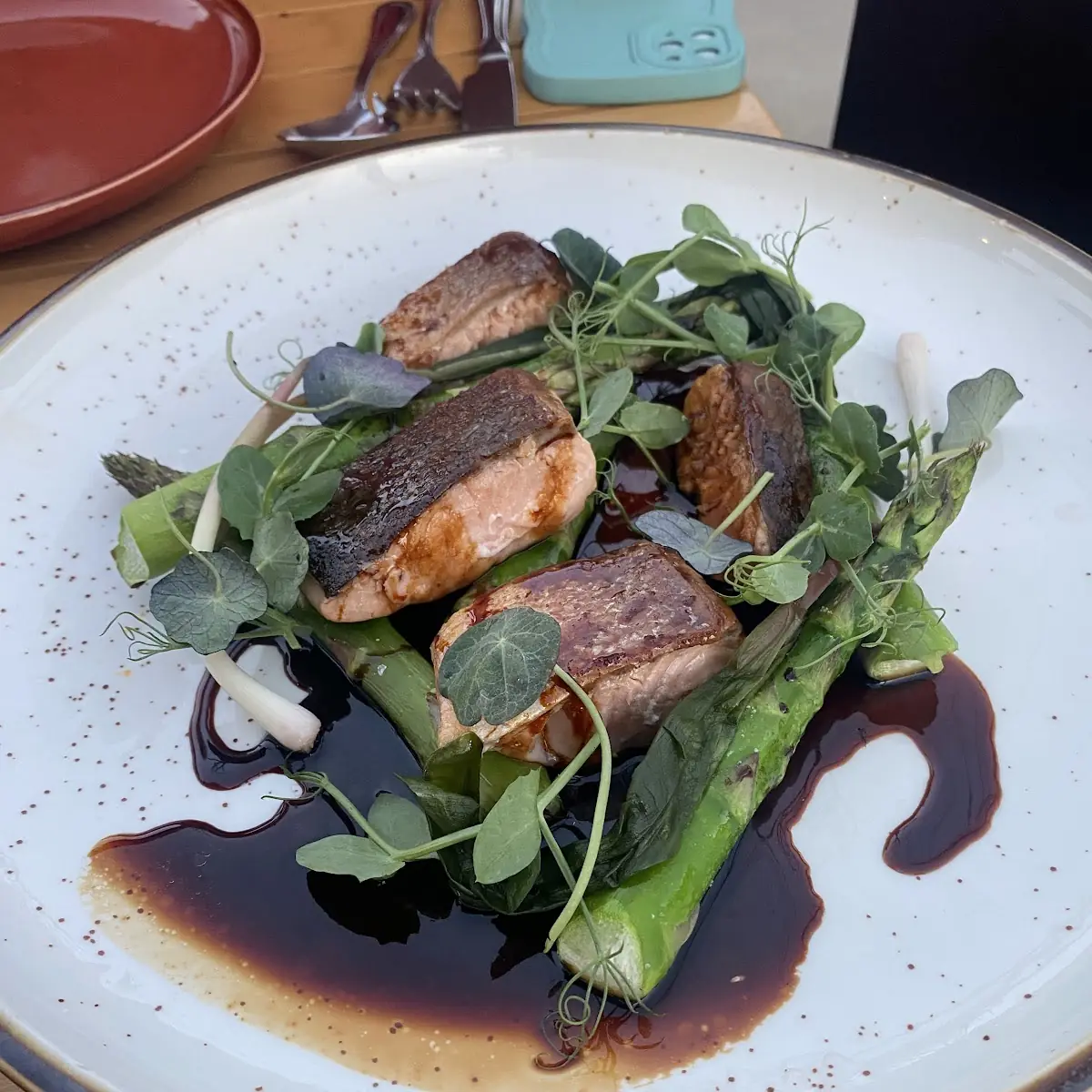 Duck Breast