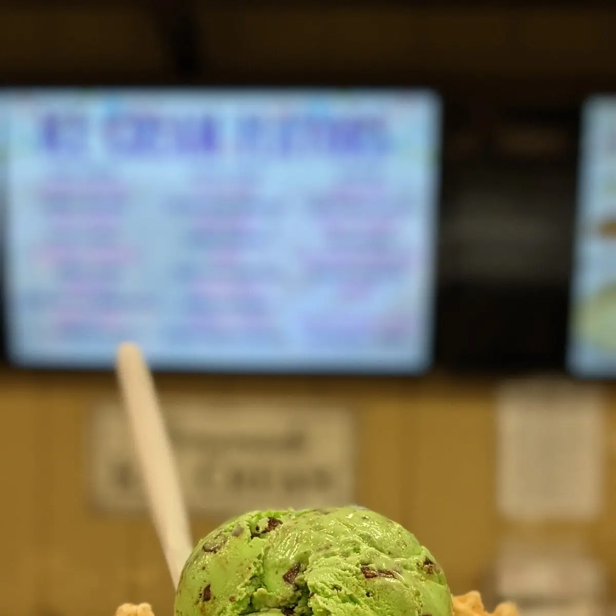 Mint Chocolate Chip in a Waffle Bowl