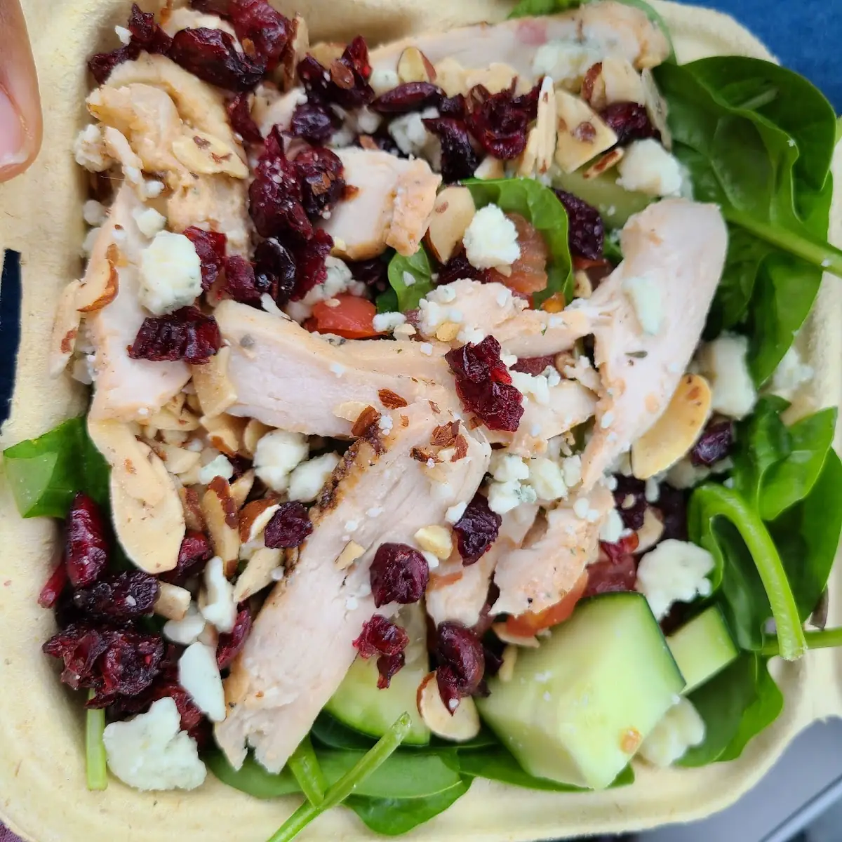 Harvest Chicken Salad Contains Pecans