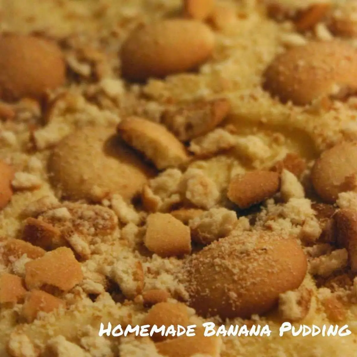 Banana Pudding