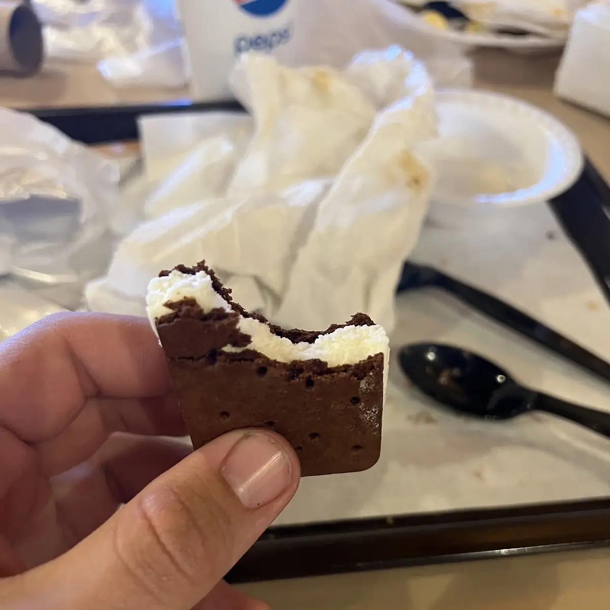 Ice Cream Sandwich