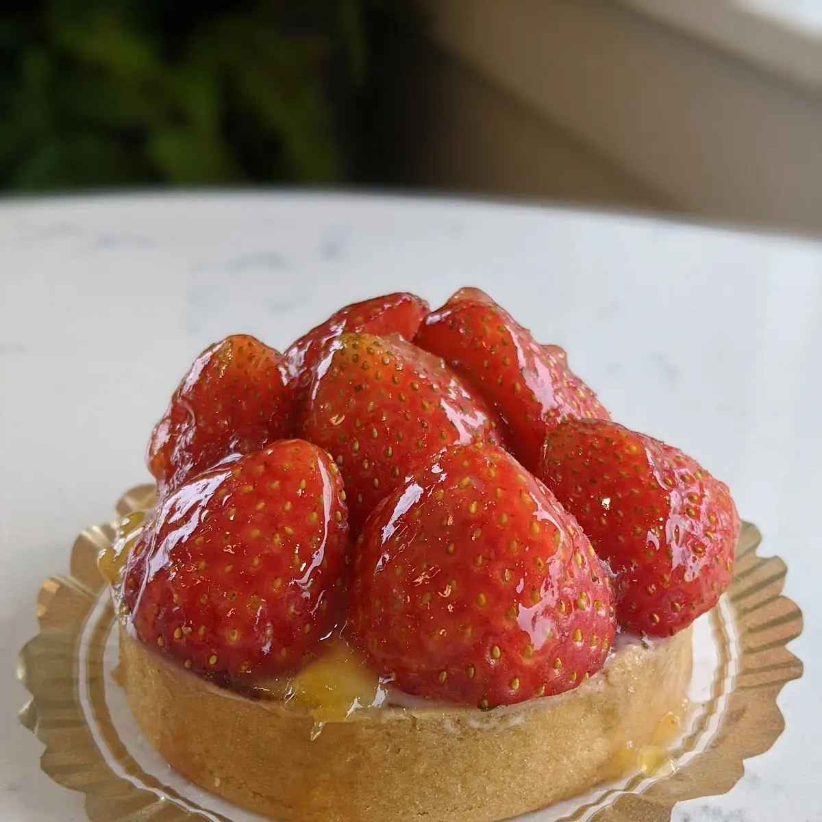 French Fruit Tart