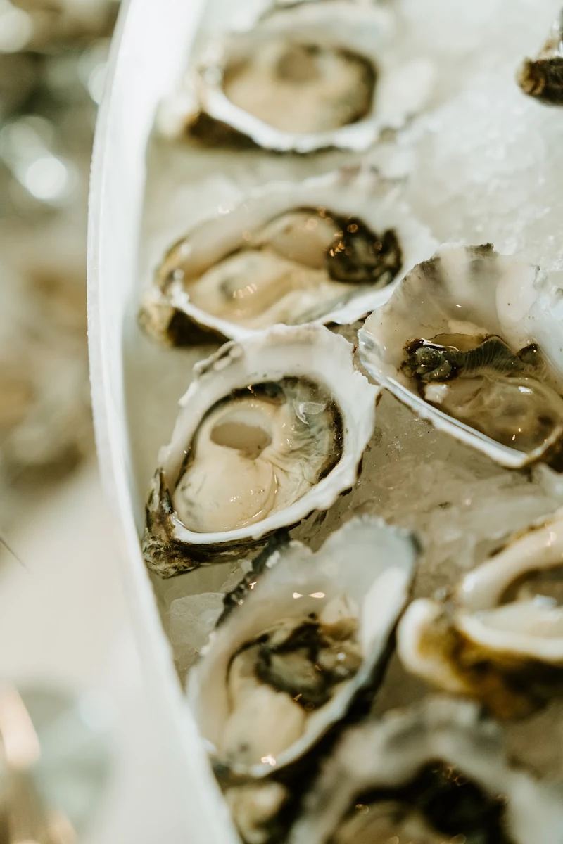 Freshly Shucked Oysters Mignonette, Elwood Bathers