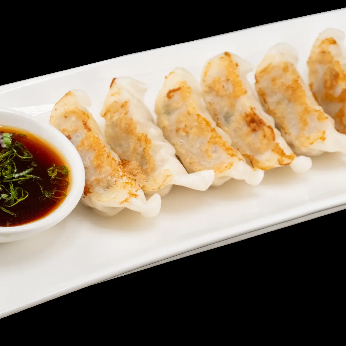 Pork Pan Fried Gyoza