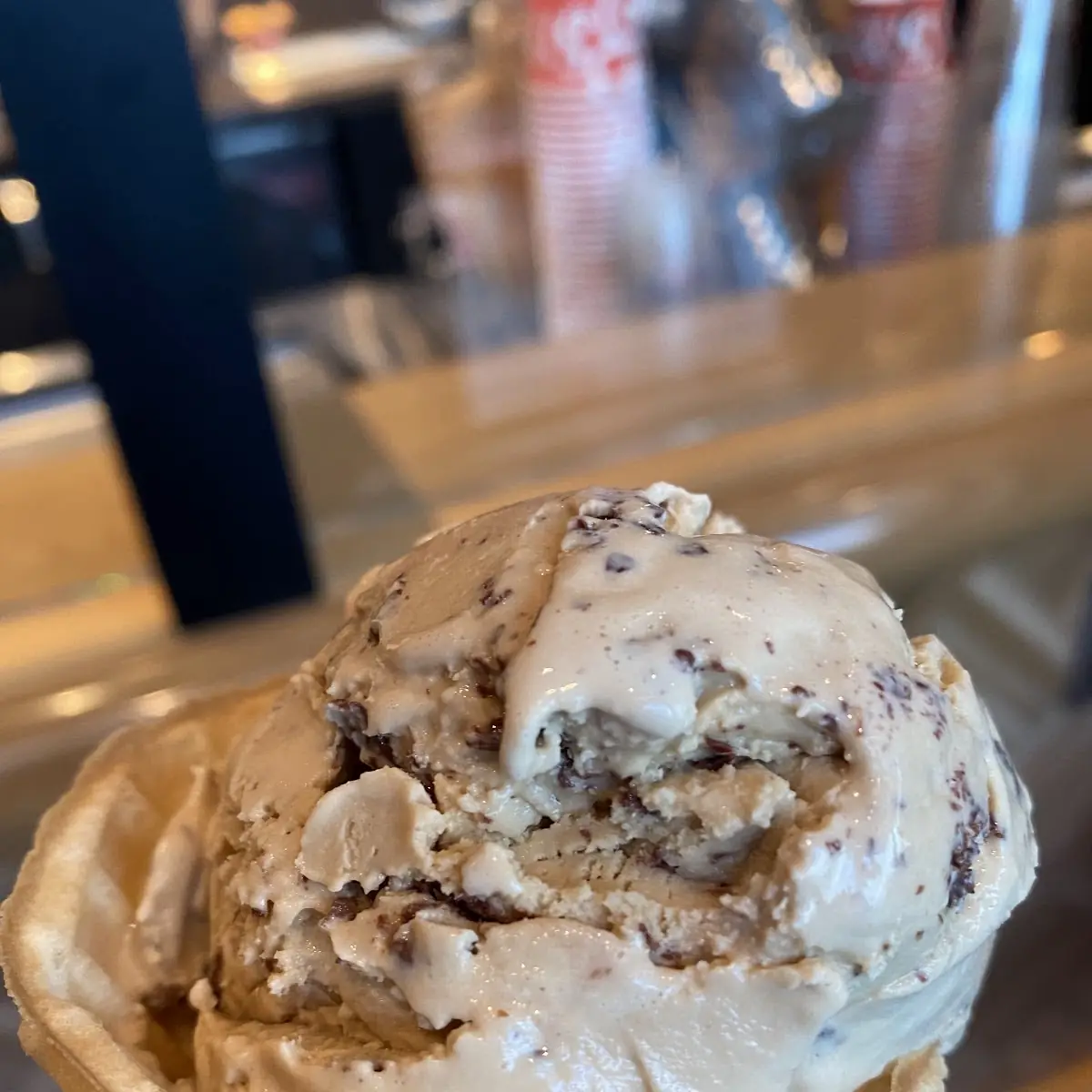 Salted Malted Chocolate Chip Cookie Dough