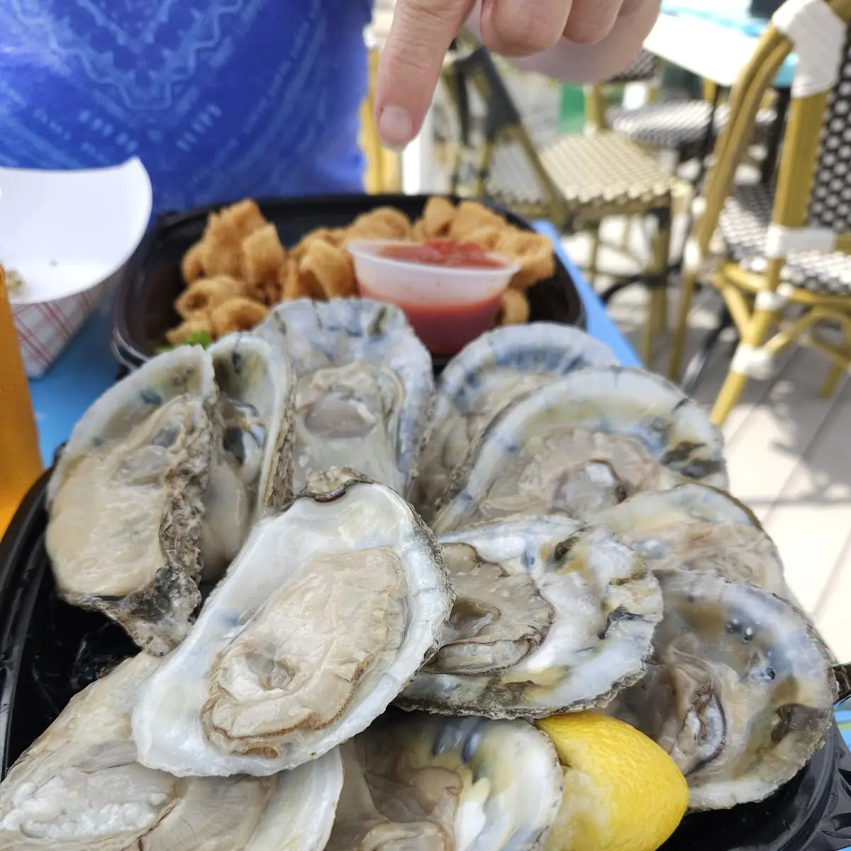 Oysters on the Half Shell