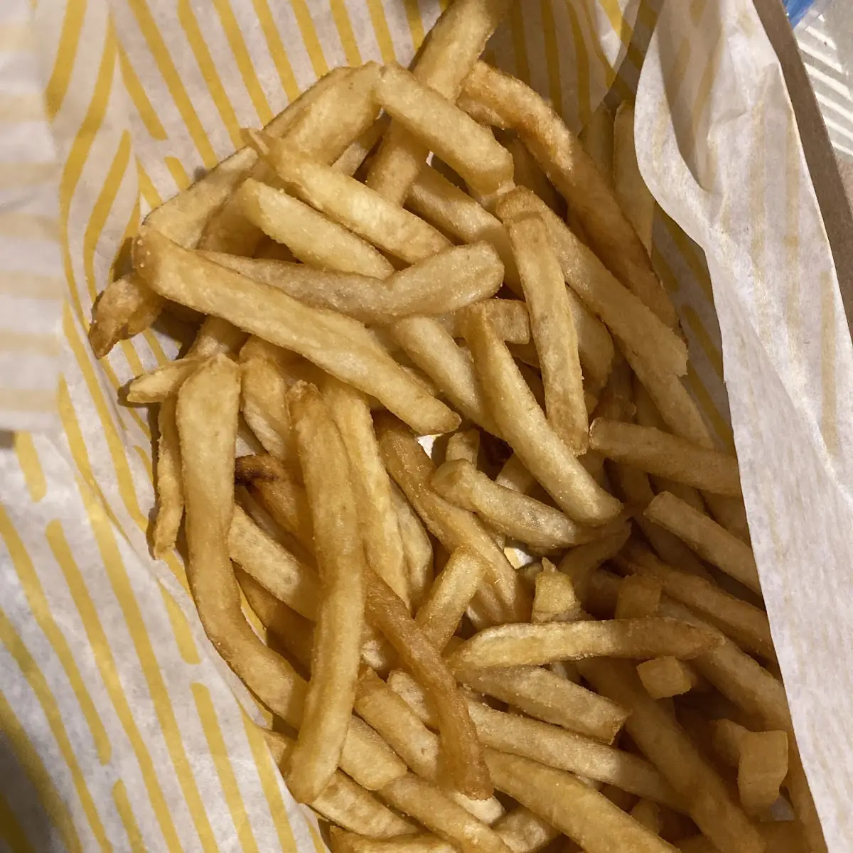 World Famous Fries