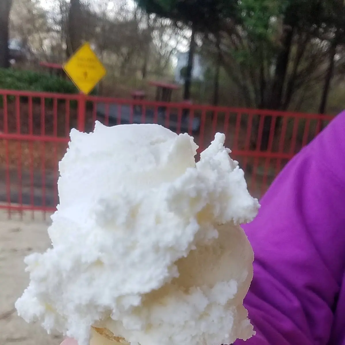 Vanilla Ice Cream