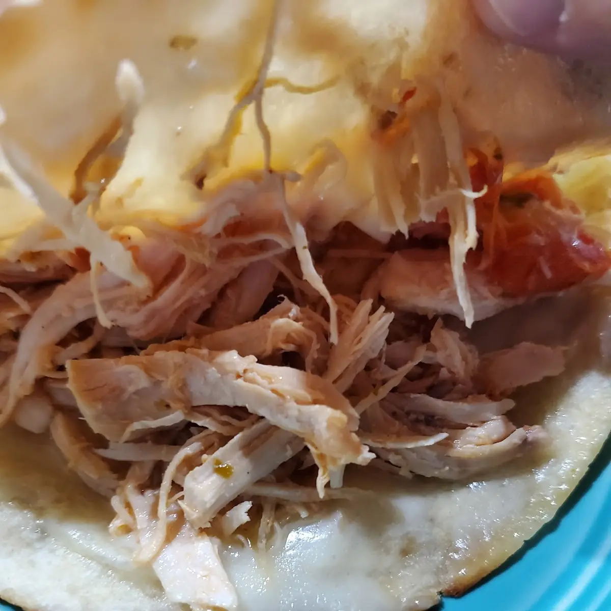 Chicken Quesadilla