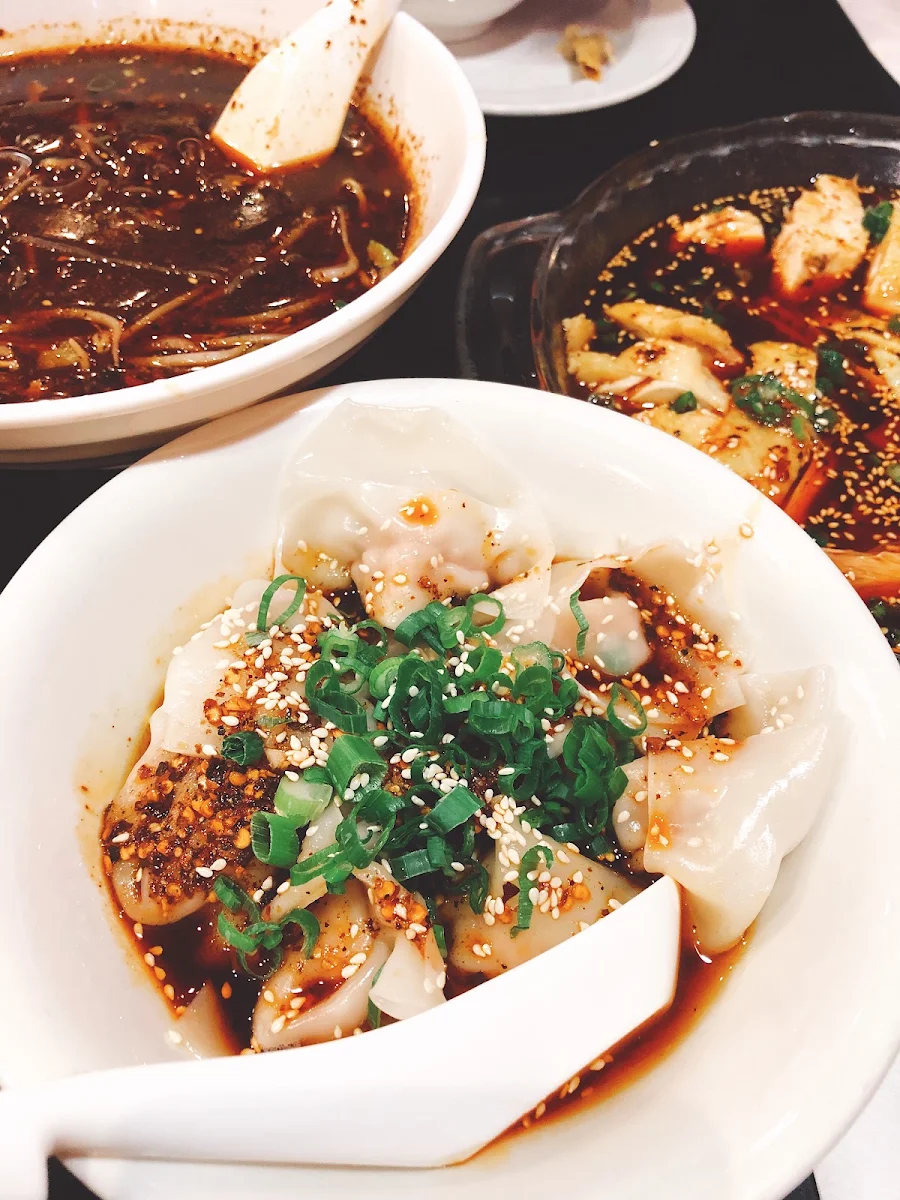 Tan Tan Dumplings with Peanut Sauce, Chengdu Spicy Restaurant