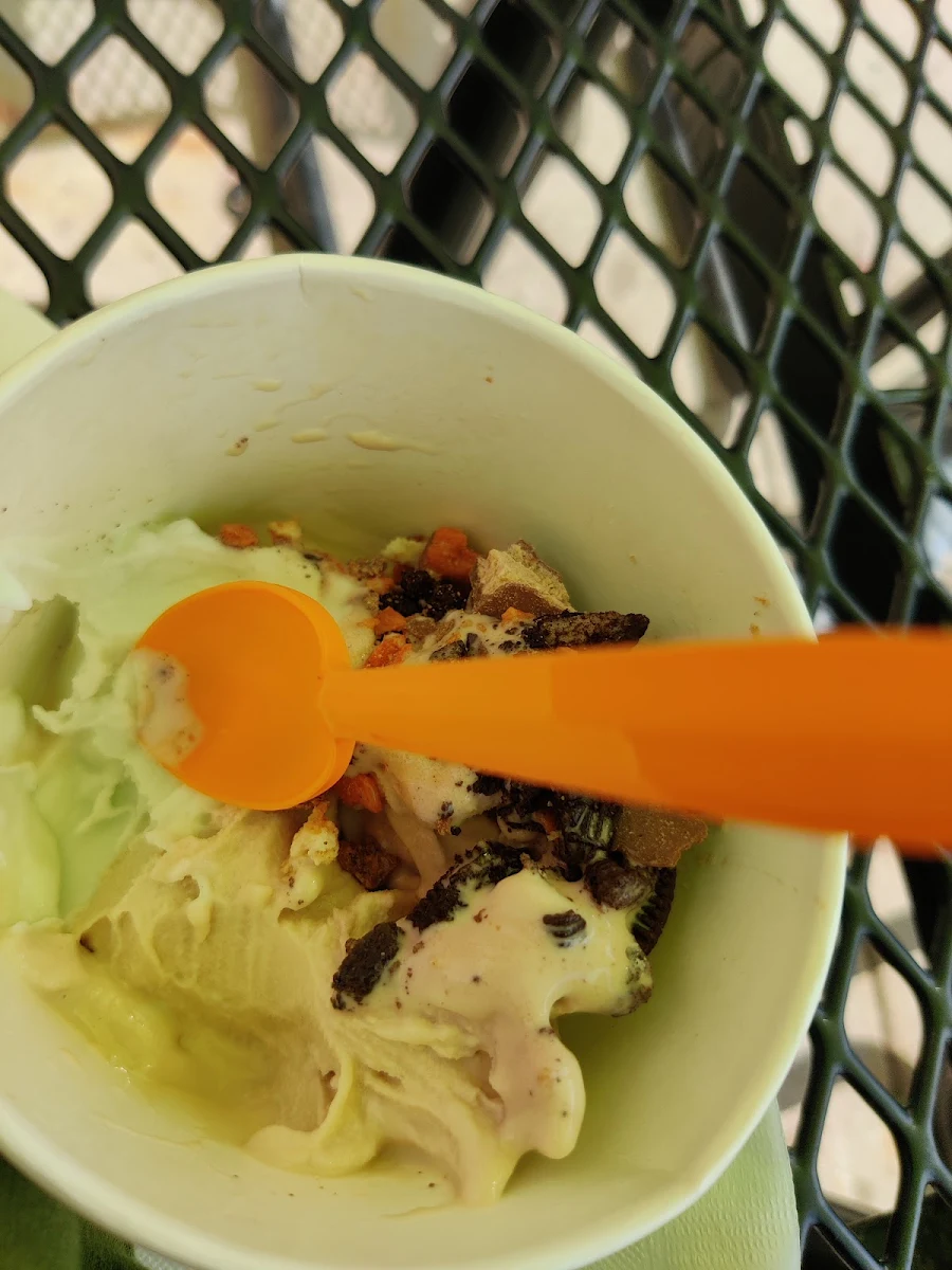Nutella Frozen Yogurt