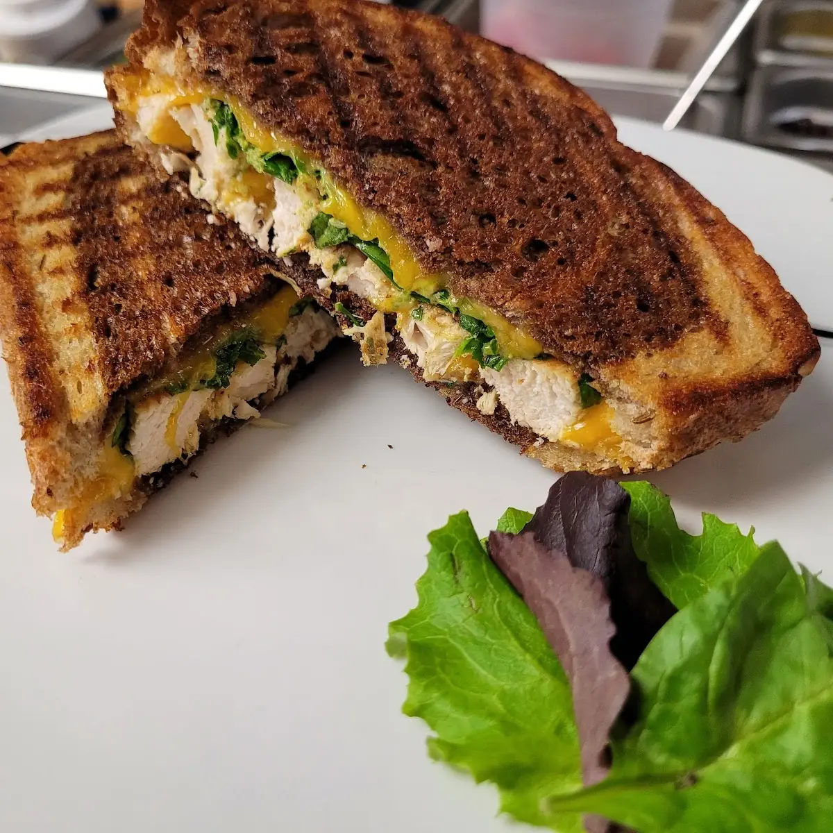 Chicken Panini
