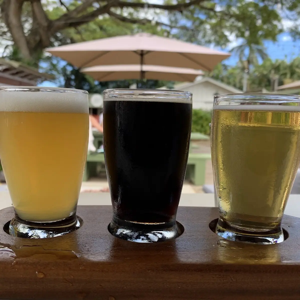 Beer Flight
