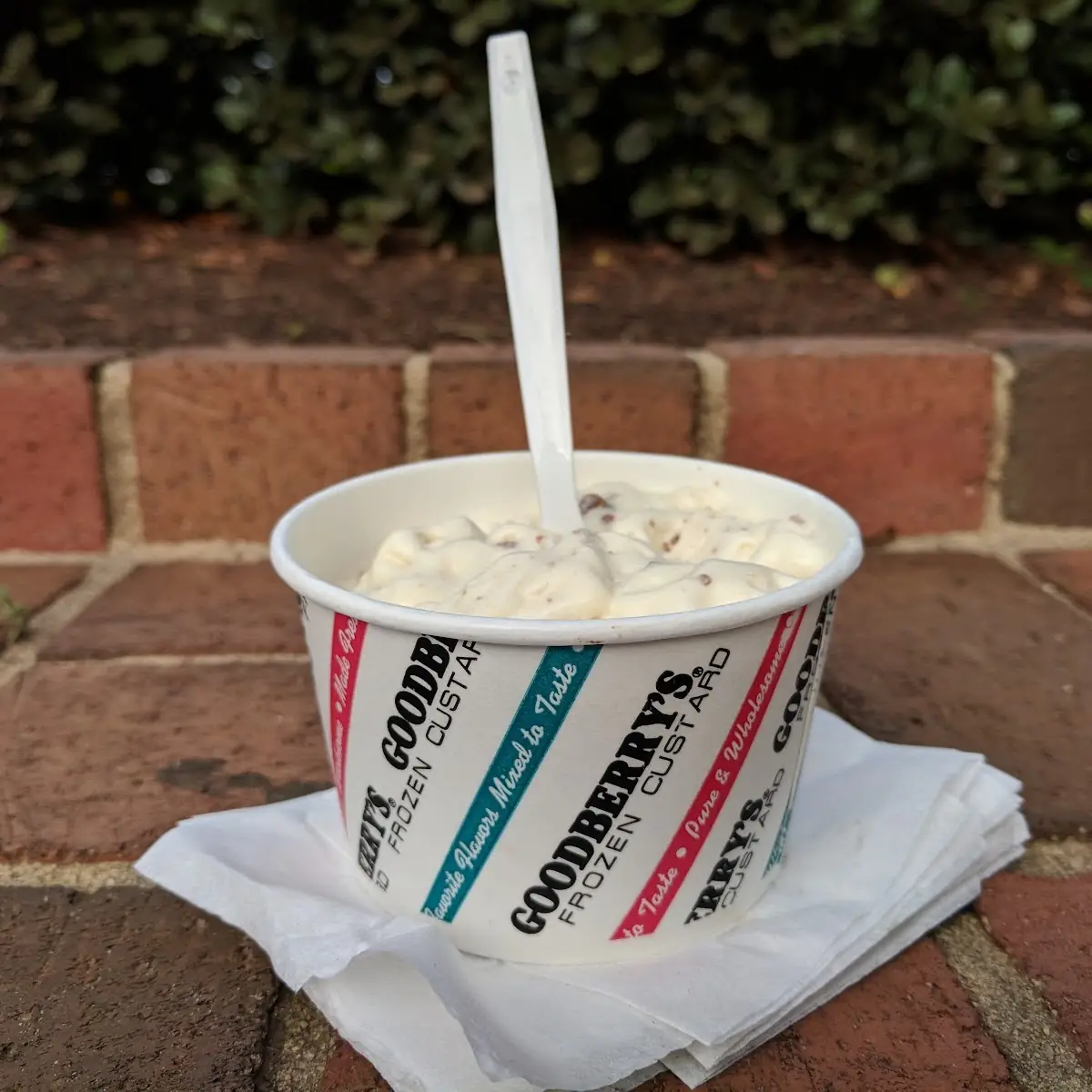 Vanilla Custard with Peanut Butter Cups