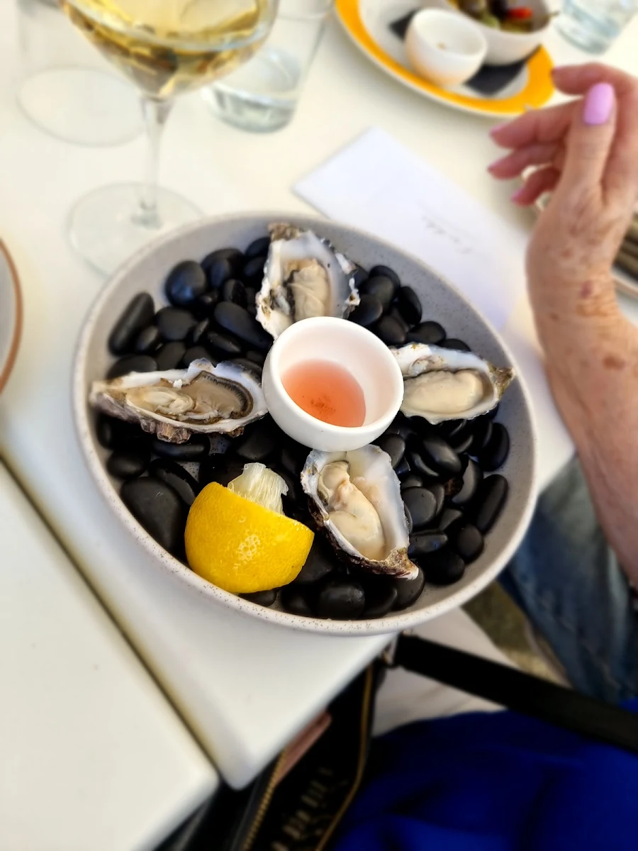 Oysters, Stella
