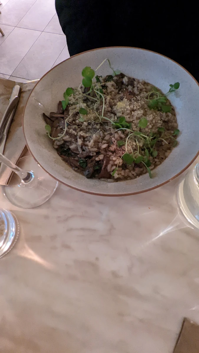 Risotto, Stella