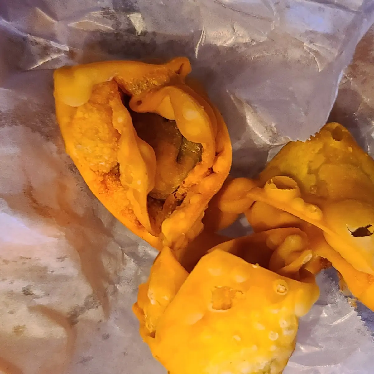 Fried Wonton 10