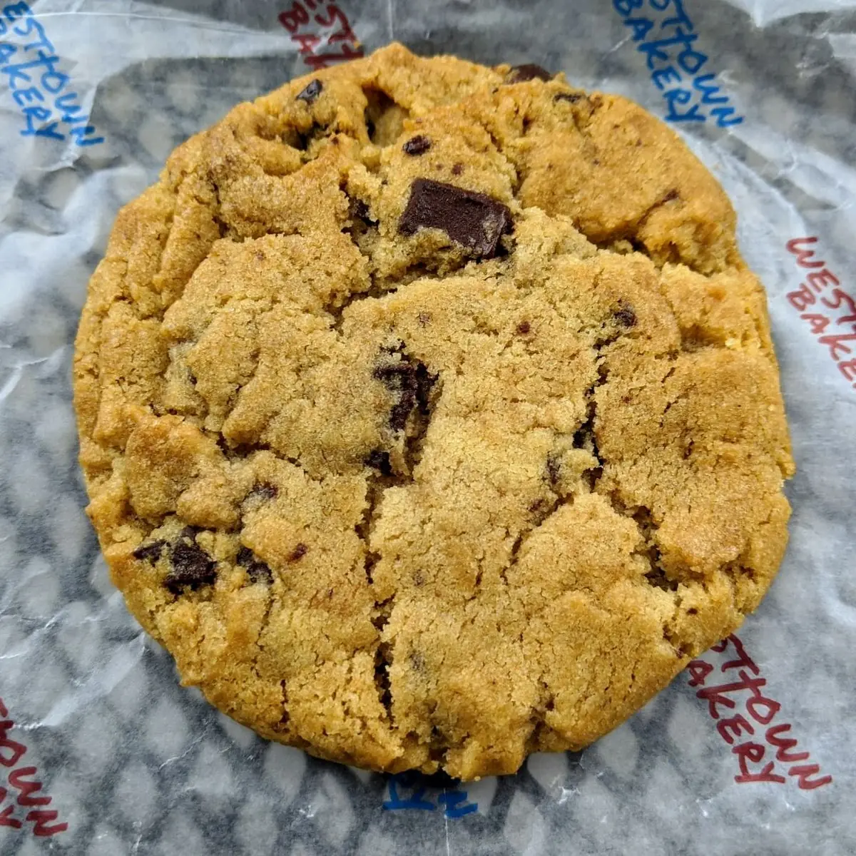 Chocolate Chip Cookie