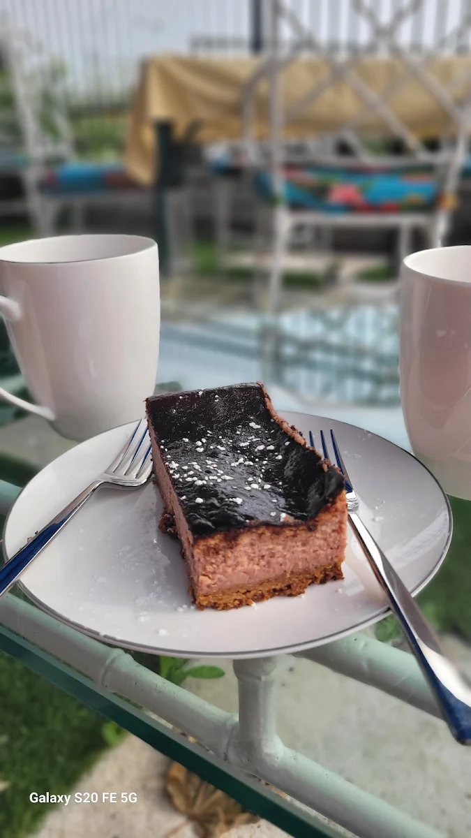 Sour Cherry Cheesecake