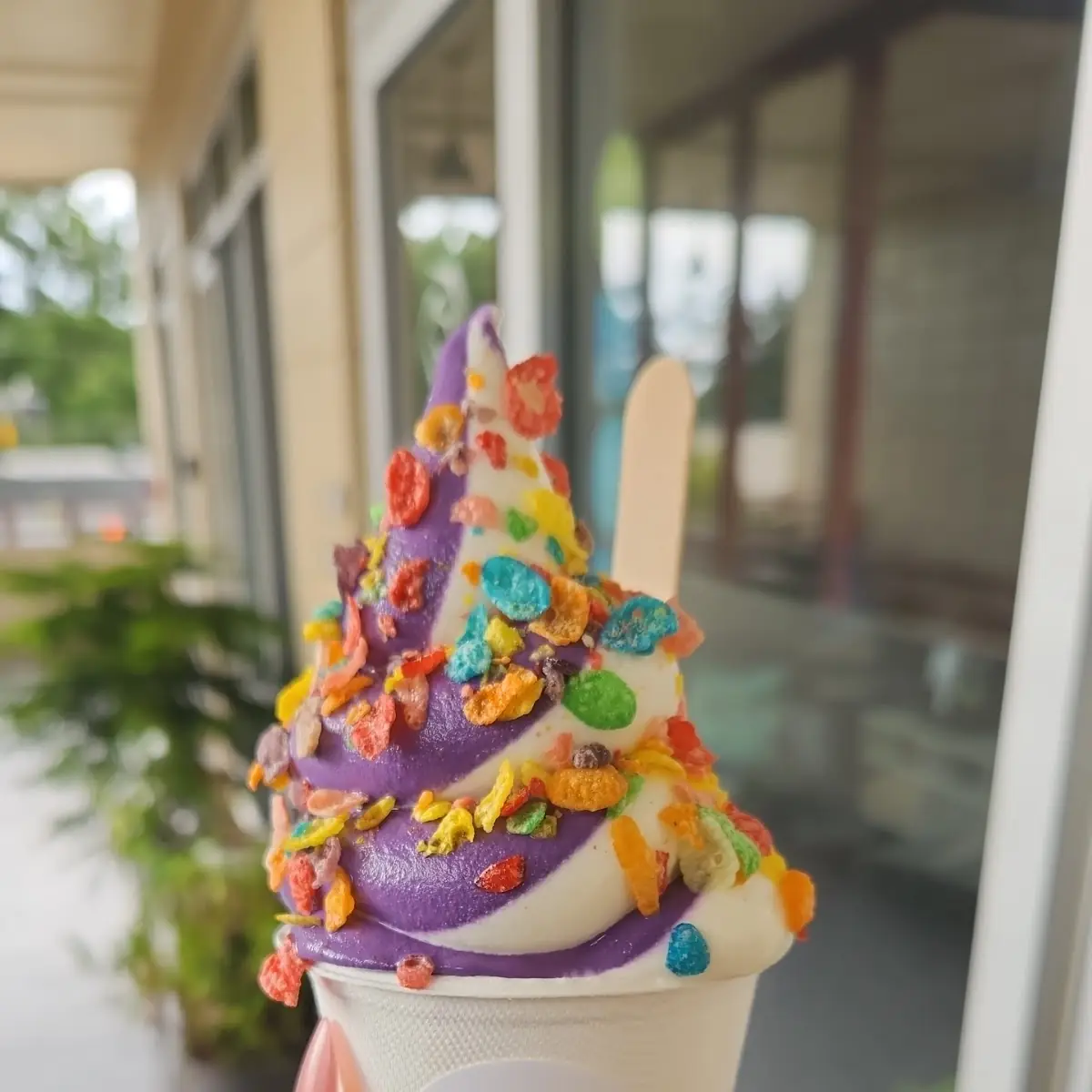 Soft Serve Ice Cream