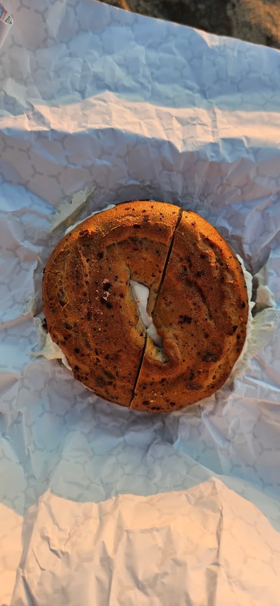 Gluten Free Everything Bagel