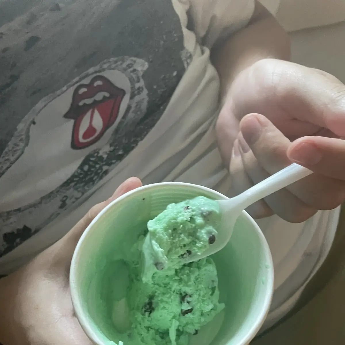 Mint Chocolate Chip Cookies