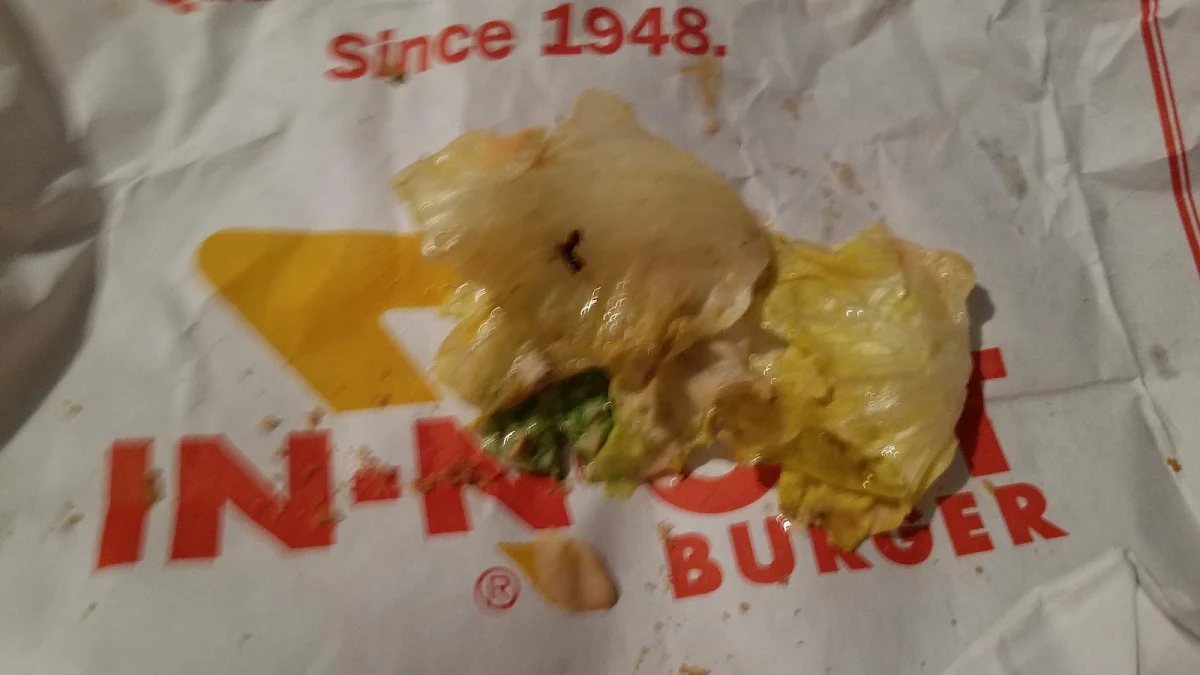 Lettuce from a Burger