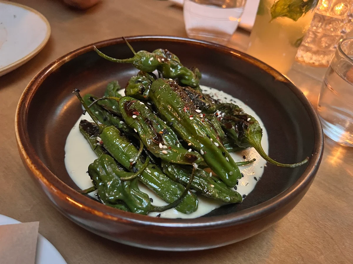 Charred Shishito Peppers