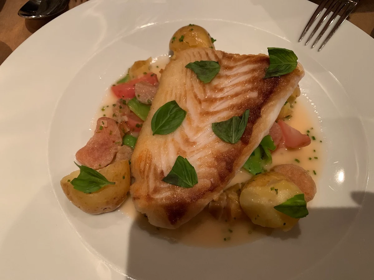 Halibut