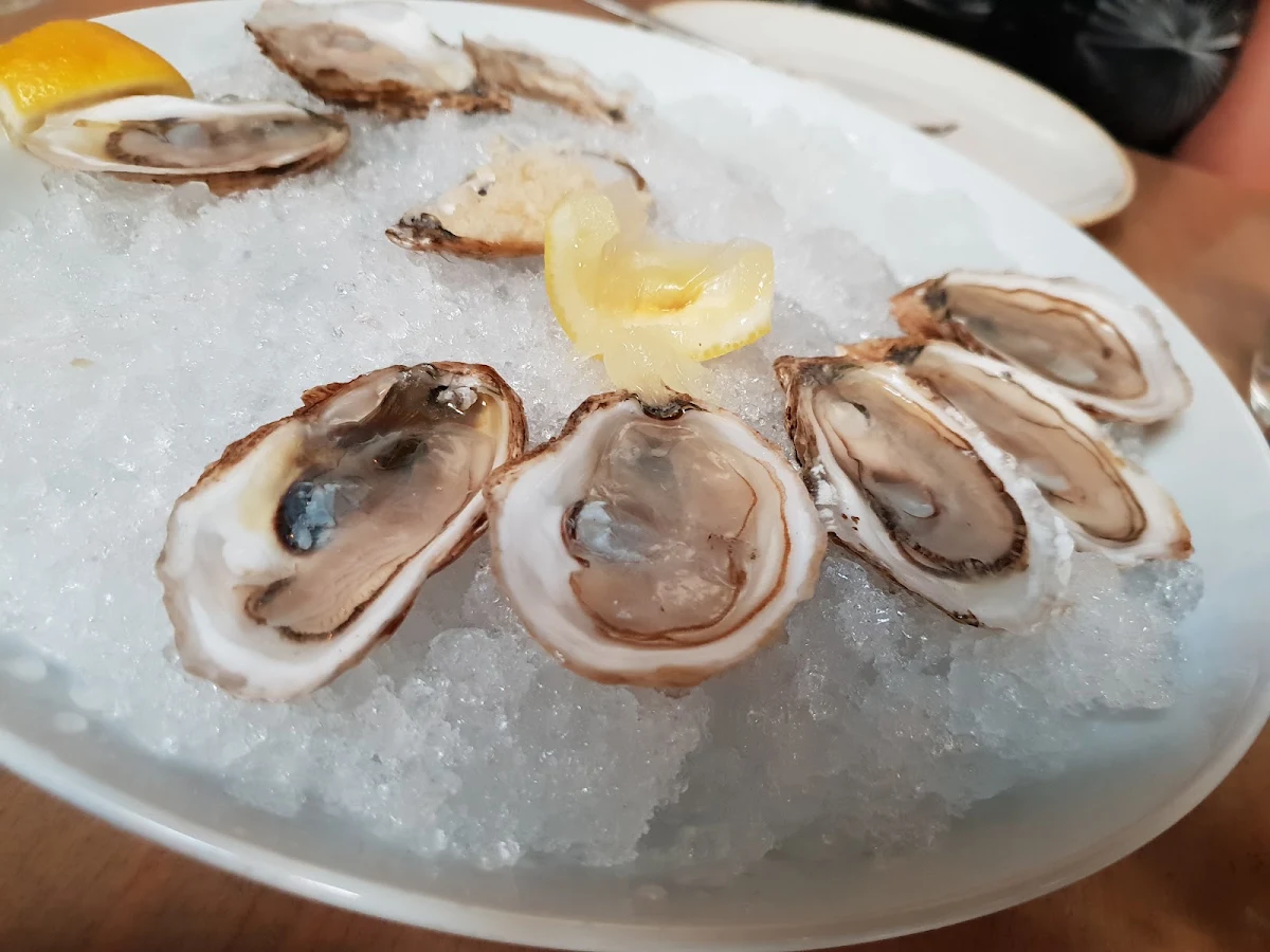 Oysters on the Half Shell