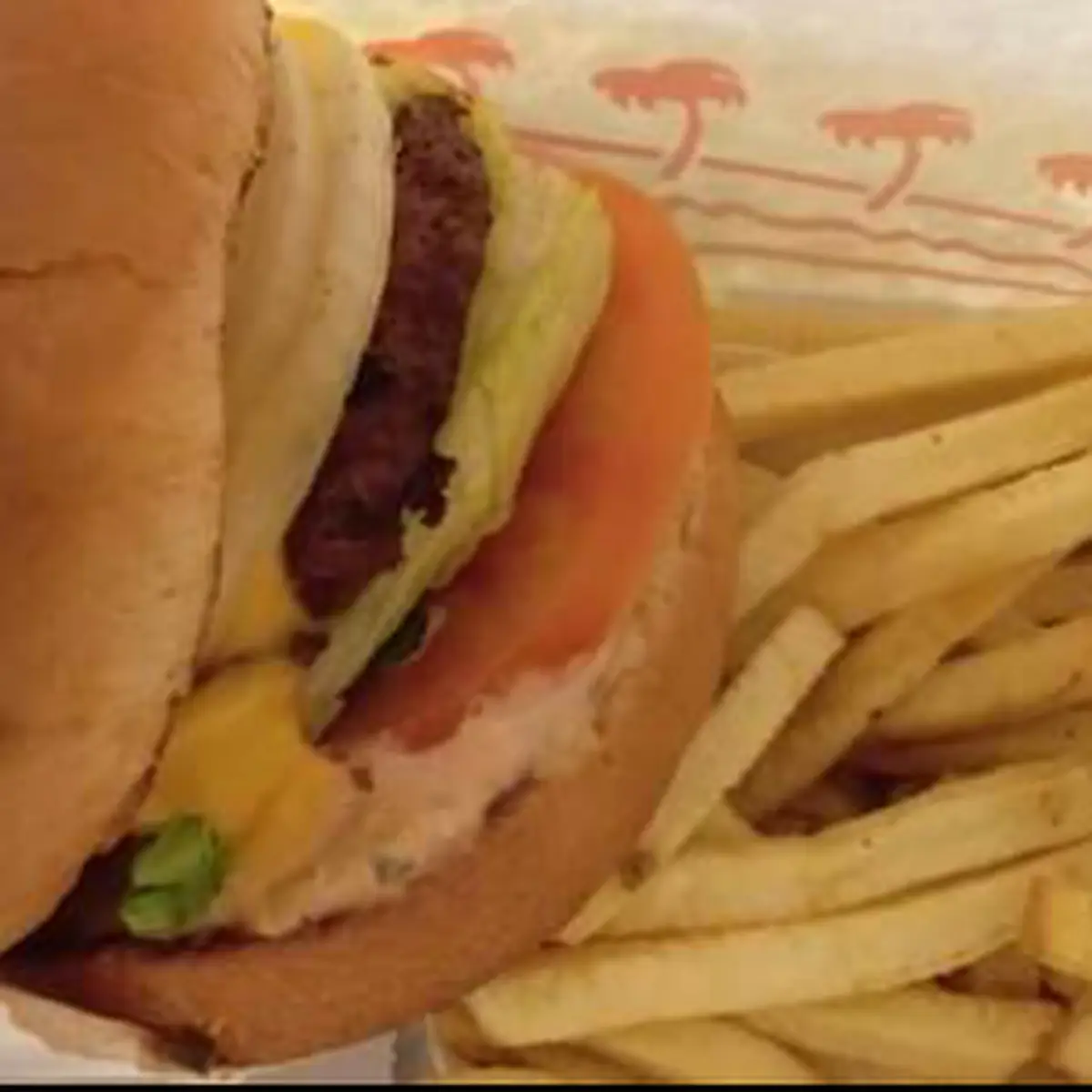 Cheeseburger Combo