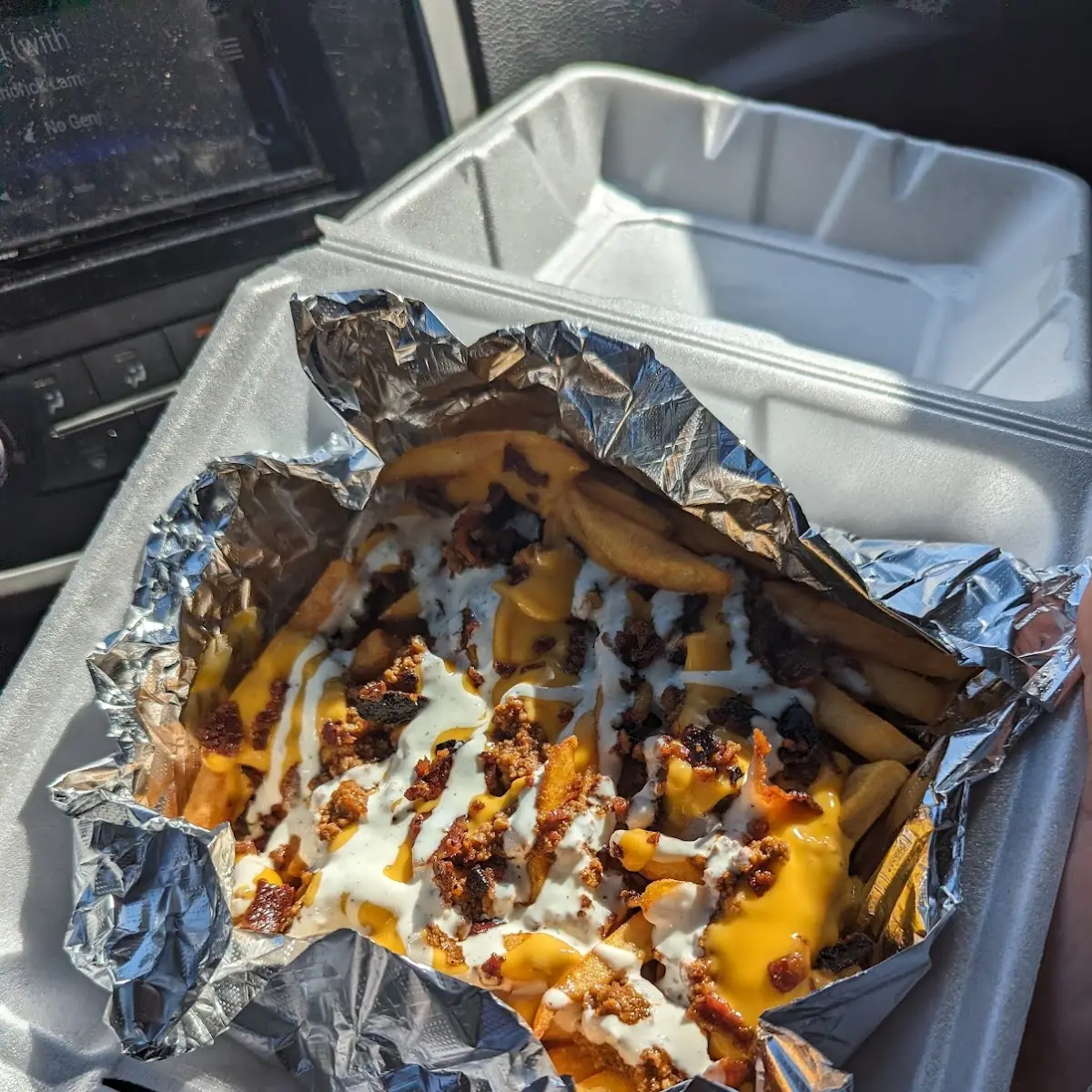 Loaded Fries