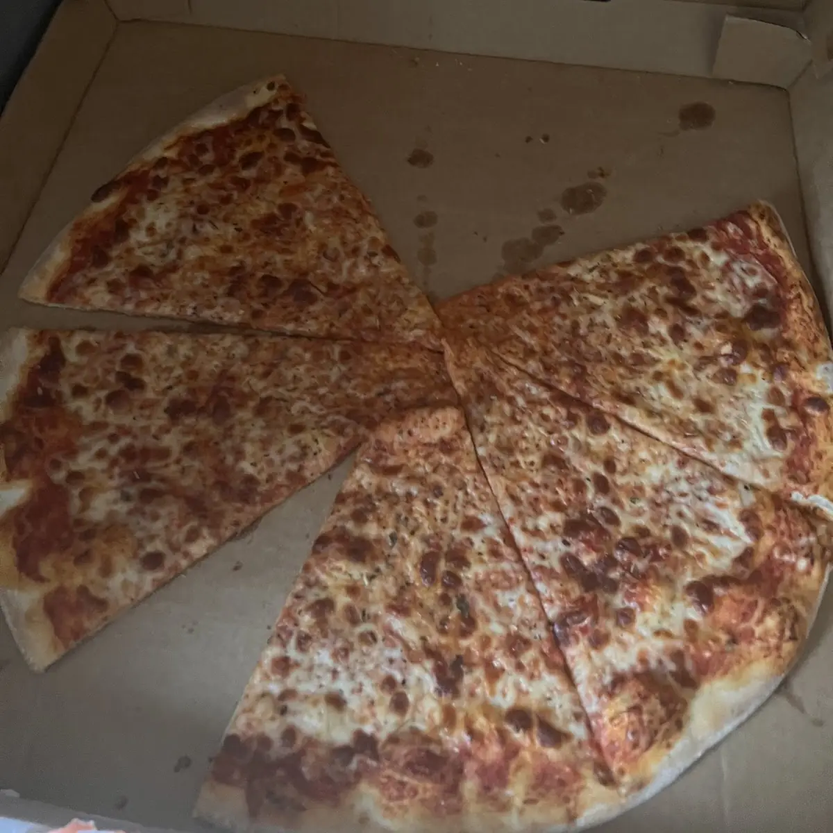 Cheese Pizza 10
