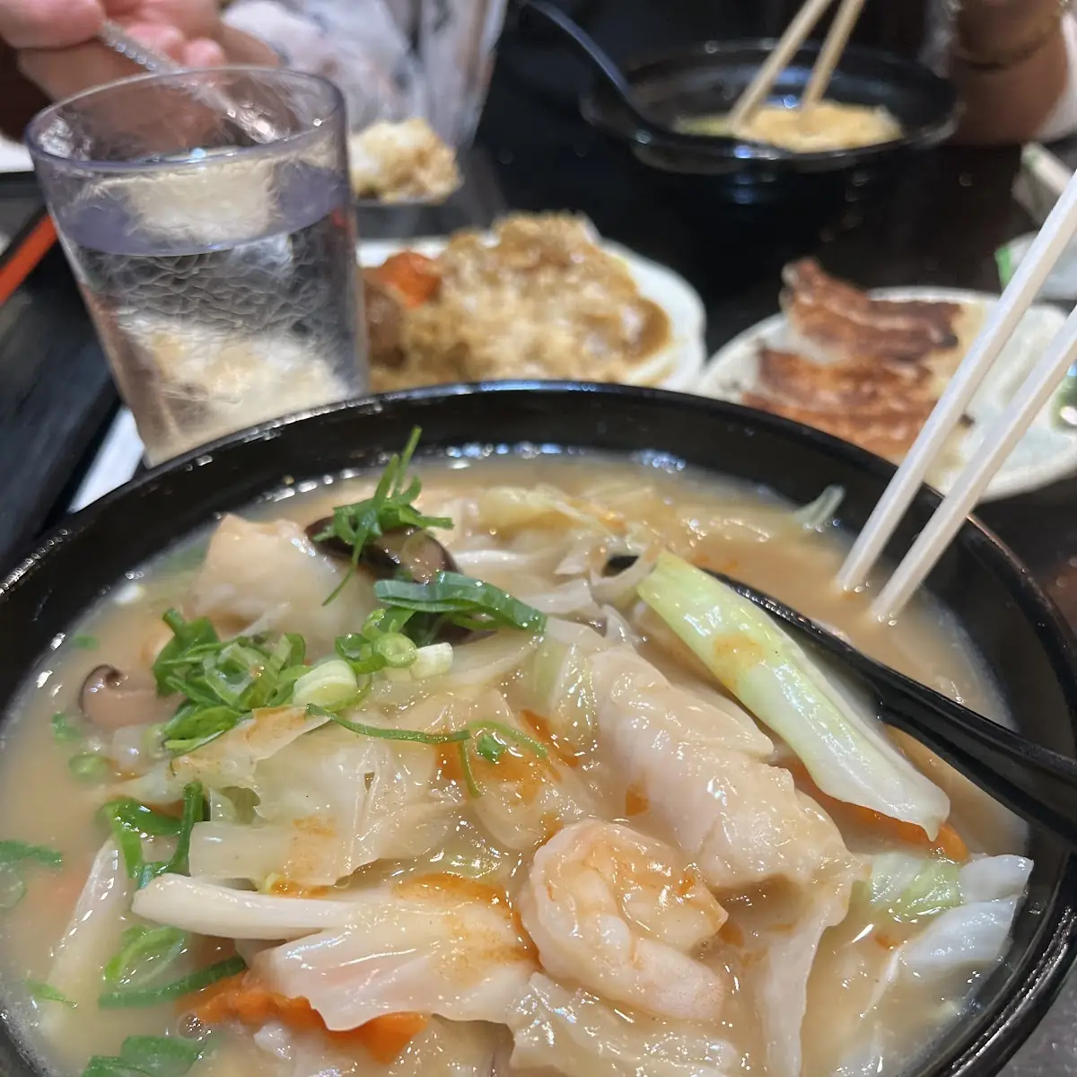 Gyoza Soup