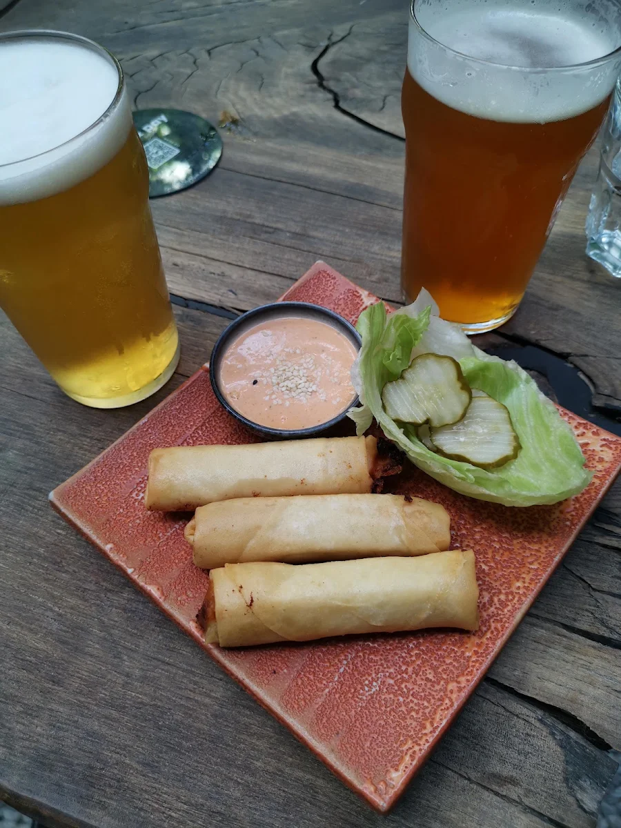 Cheeseburger Spring Rolls, Sonder Bar