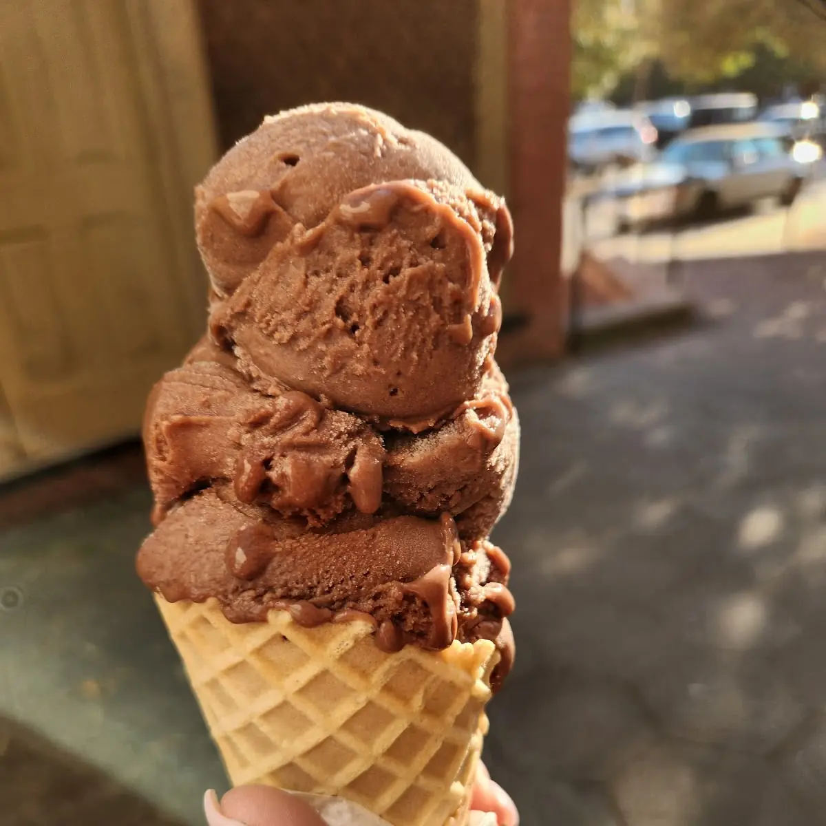 Vegan Chocolate Medium Ice Cream