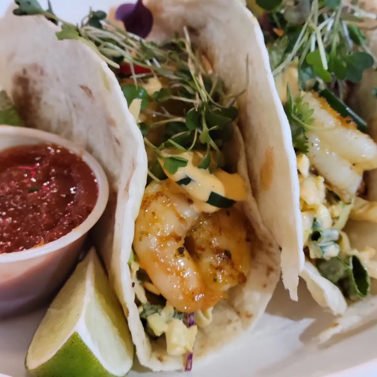 Shrimp Tacos