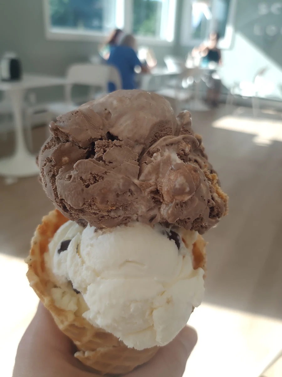 Smore and Mint Chocolate Chip Ice Cream