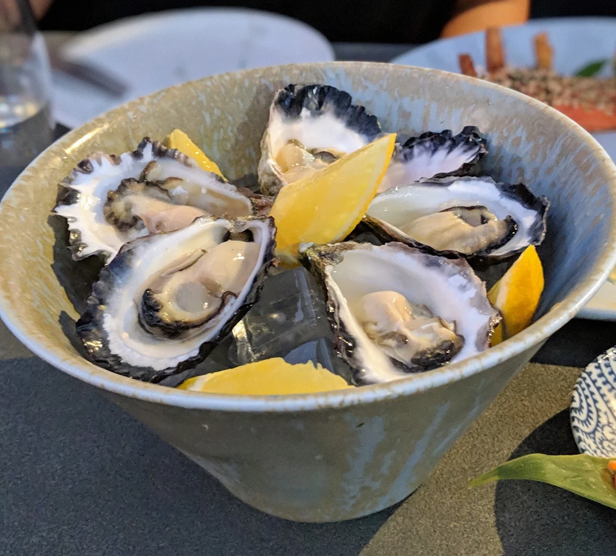 South Coast Oysters, South Sailor