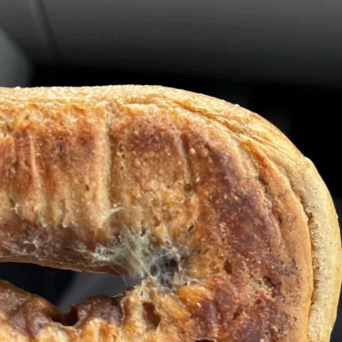 Bagels Cinnamon Raisin
