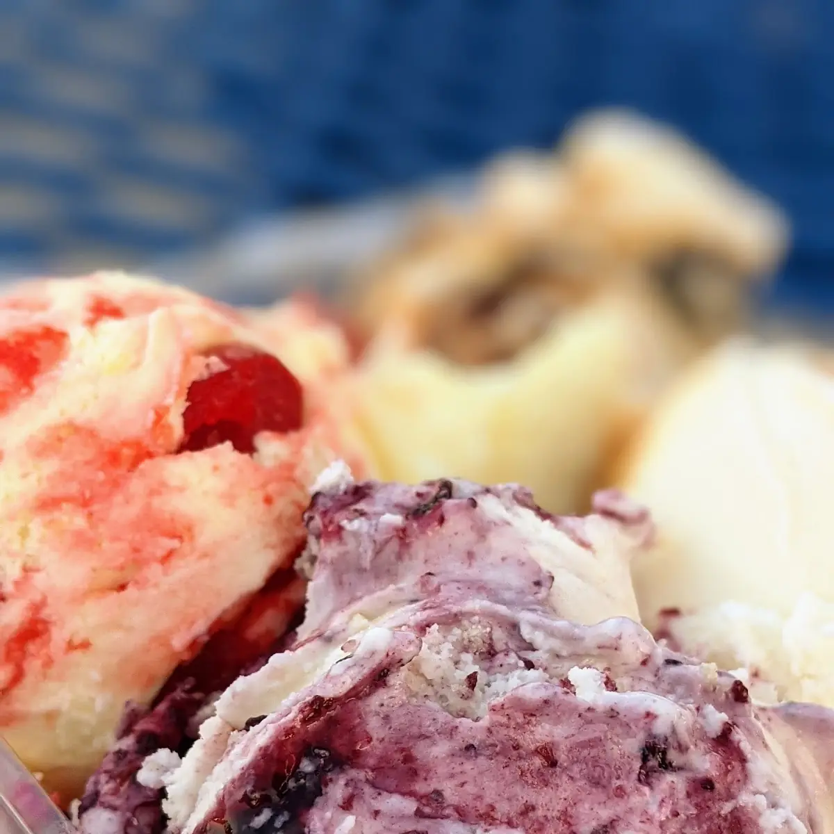 Sampler with Blueberry Cobbler