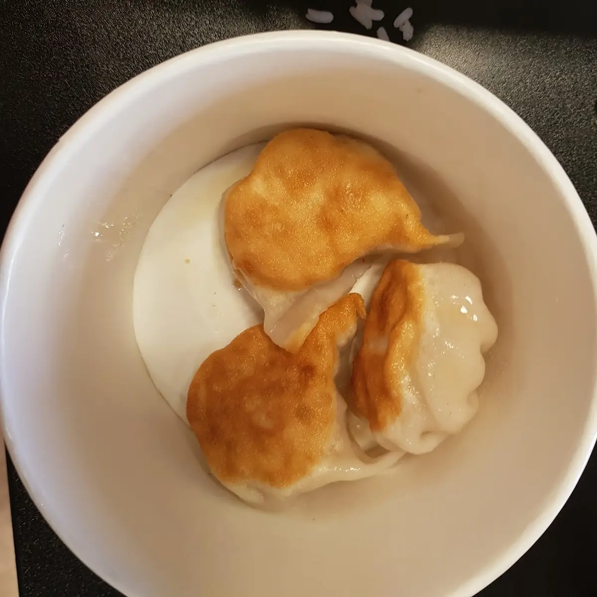 Fried Gyoza Dumplings