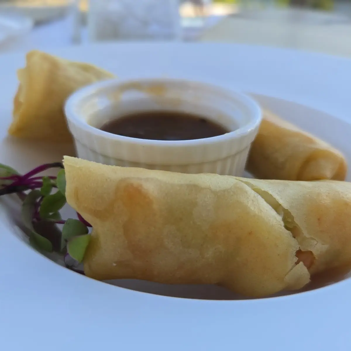 Savory Shrimp& Vegetable Spring Rolls