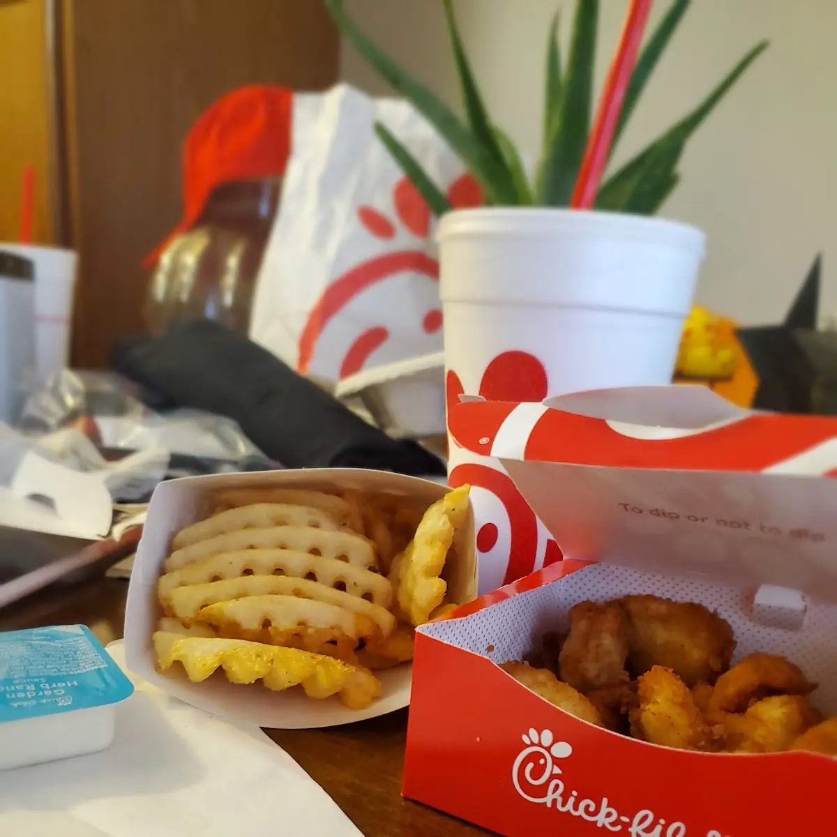 Chicken Nuggets with Fries